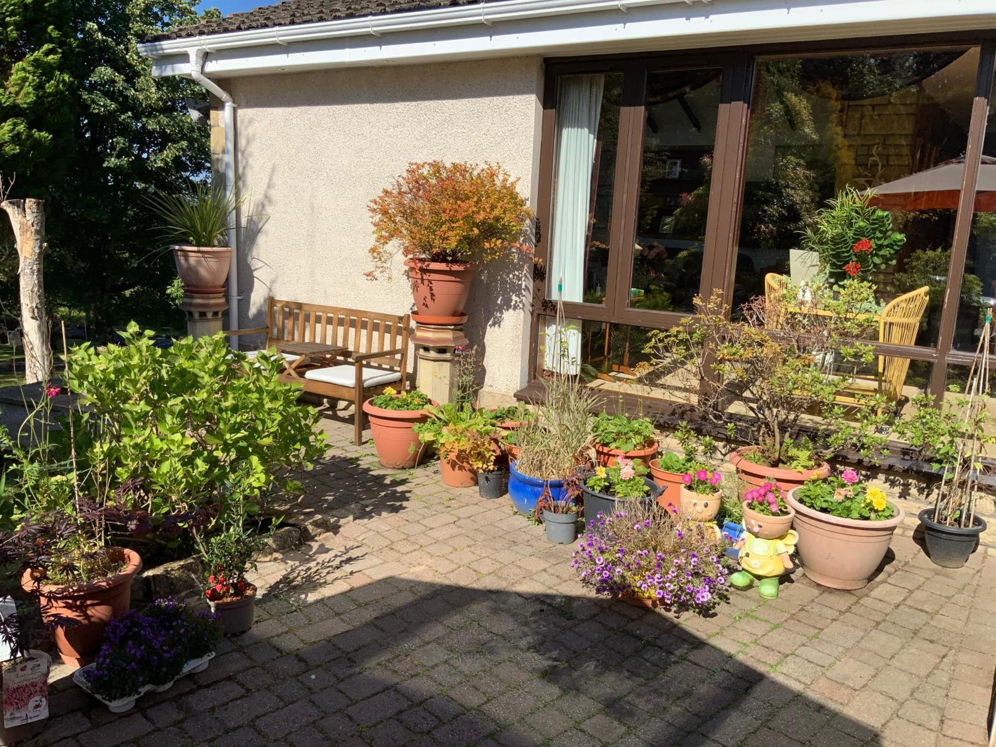 Apartmán Havenwood Ayr Exteriér fotografie