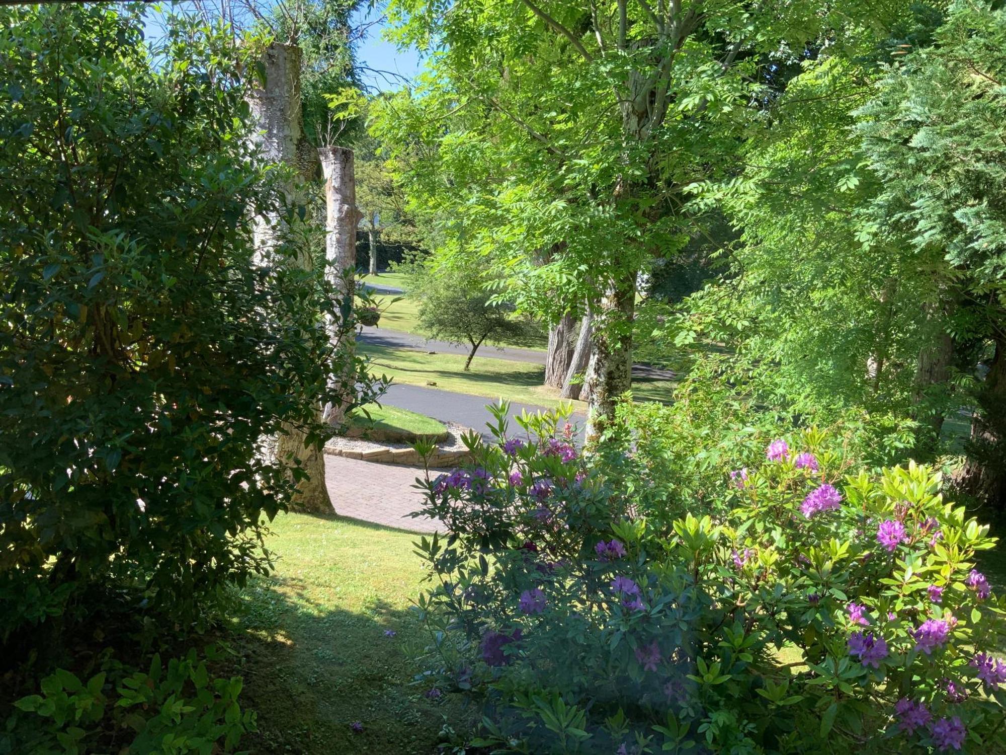 Apartmán Havenwood Ayr Exteriér fotografie
